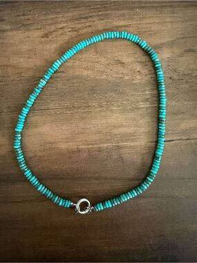 Oh Clementine Turquoise-Colored Stone Beaded Necklace with Silver Clasp